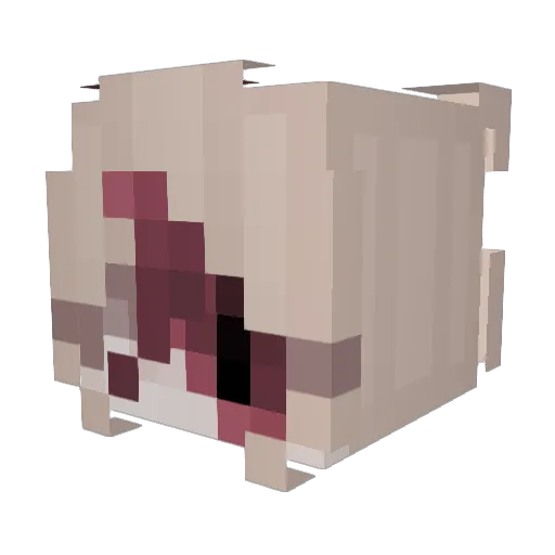 fetusz Minecraft avatar head, 3D render