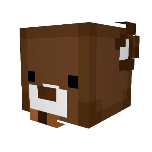 feuerwasser93 Minecraft avatar head, 3D render