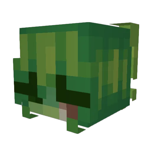 fevver_rxse Minecraft avatar head, 3D render