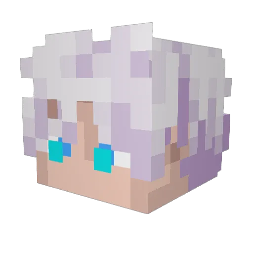 few4 Minecraft avatar head, 3D render