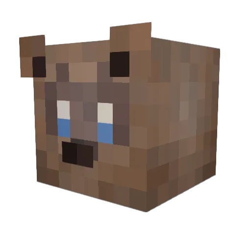 feweststar5599 Minecraft avatar head, 3D render