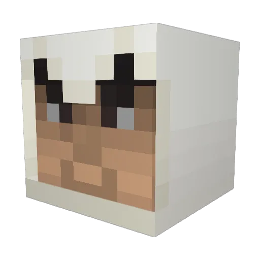 fexh01 Minecraft avatar head, 3D render