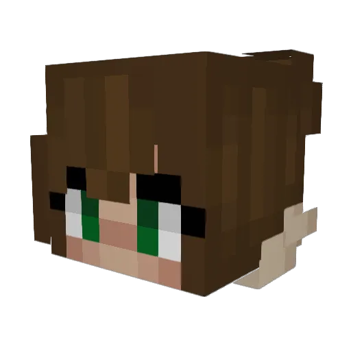 fezick Minecraft avatar head, 3D render
