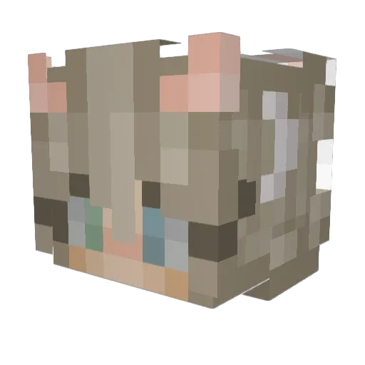 ffei707 Minecraft avatar head, 3D render