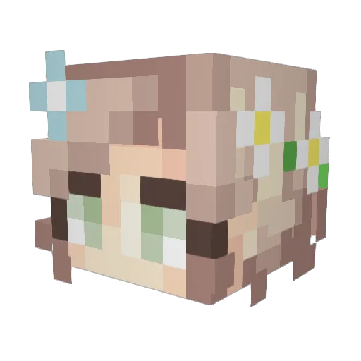 ffej2 Minecraft avatar head, 3D render