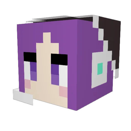 fffd_sj Minecraft avatar head, 3D render