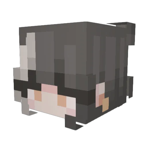 ffolklorefairy Minecraft avatar head, 3D render