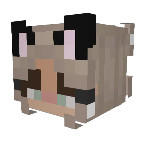 ffrogg Minecraft avatar head, 3D render