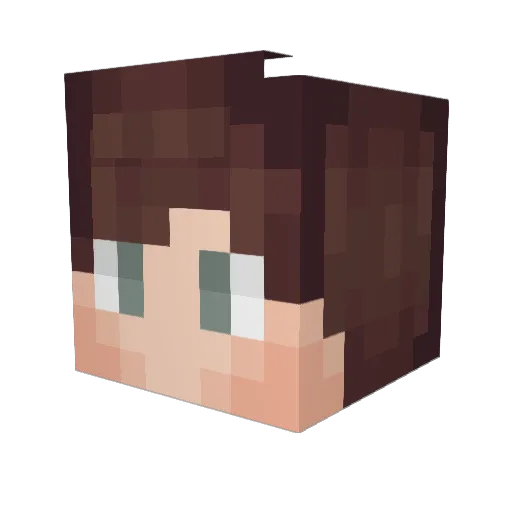 ffsBerra Minecraft avatar head, 3D render