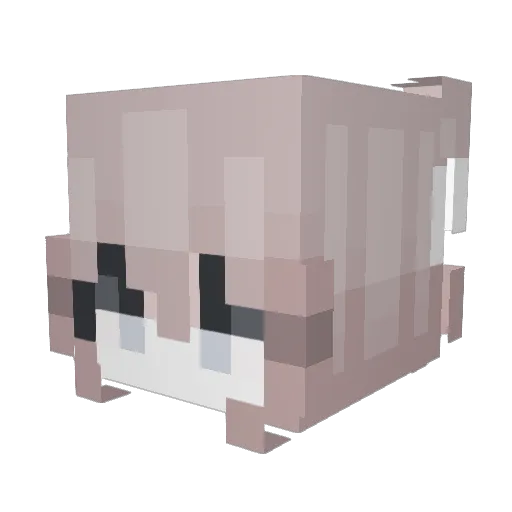 ffsfji Minecraft avatar head, 3D render