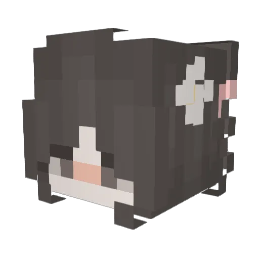 ffxfgf Minecraft avatar head, 3D render