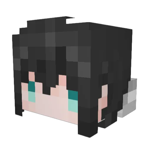 fgare2300 Minecraft avatar head, 3D render