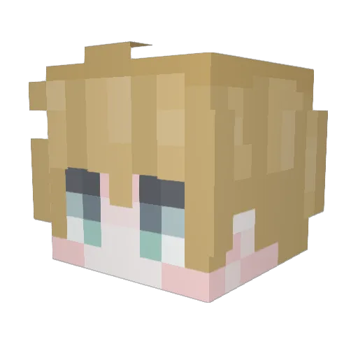 fgdr2 Minecraft avatar head, 3D render