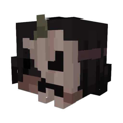 fgea Minecraft avatar head, 3D render