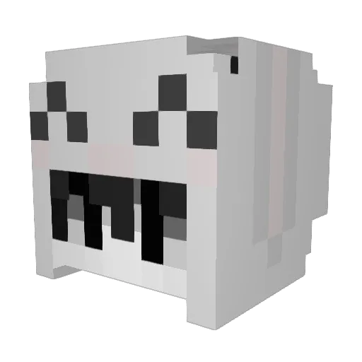 fggrer Minecraft avatar head, 3D render