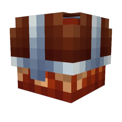 fgtboy Minecraft avatar head, 3D render