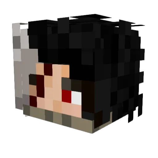 fgyrfgry Minecraft avatar head, 3D render