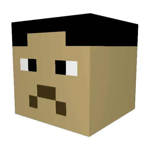 fh_1801 Minecraft avatar head, 3D render
