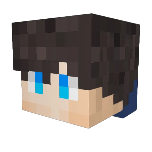 fhfhd113 Minecraft avatar head, 3D render