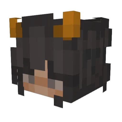 fhjksl Minecraft avatar head, 3D render