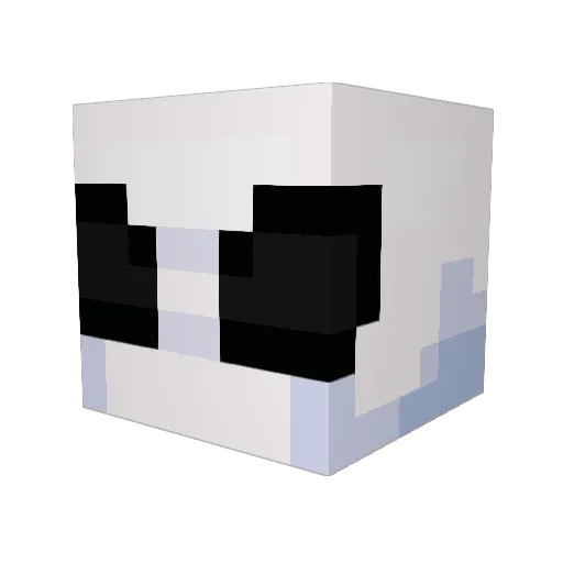 fhyt Minecraft avatar head, 3D render