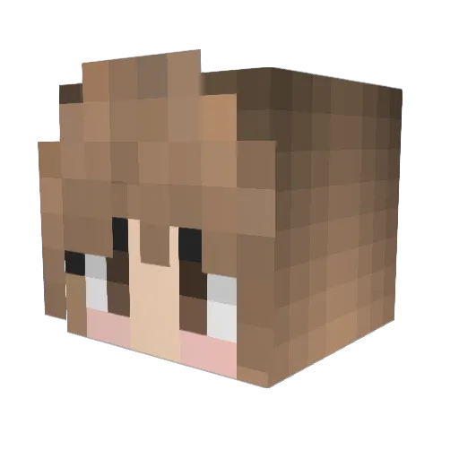 fiany02 Minecraft avatar head, 3D render