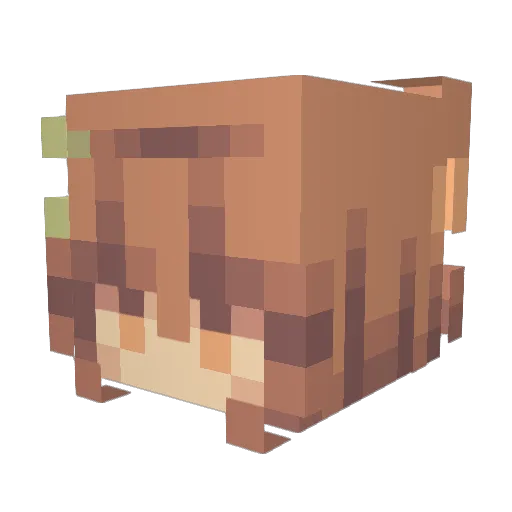 fiapup Minecraft avatar head, 3D render