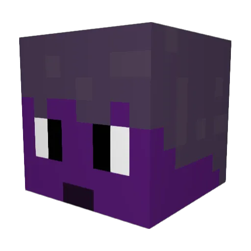 fibleyyy Minecraft avatar head, 3D render