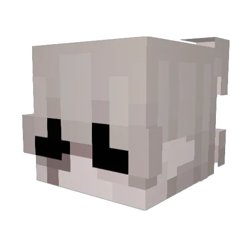 fichwee Minecraft avatar head, 3D render