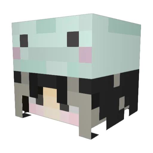 ficklehead Minecraft avatar head, 3D render