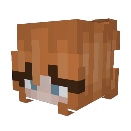 fico123 Minecraft avatar head, 3D render