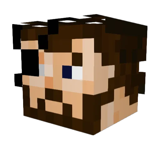 fiction843 Minecraft avatar head, 3D render