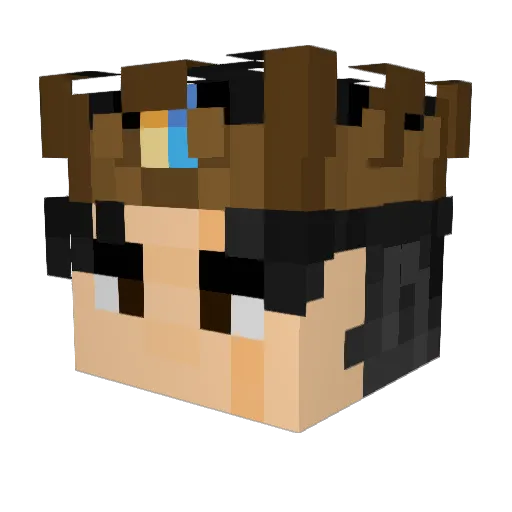 fidex09 Minecraft avatar head, 3D render