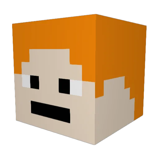 fidgee1234 Minecraft avatar head, 3D render