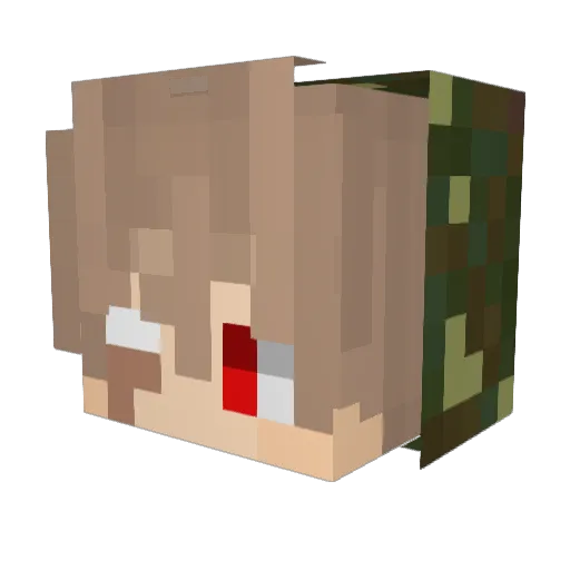 fidgesspinner Minecraft avatar head, 3D render