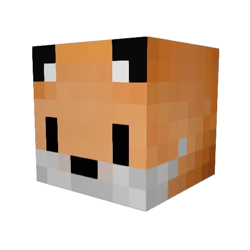fidget2010 Minecraft avatar head, 3D render