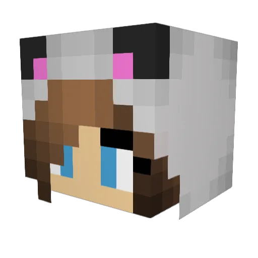 fidget836 Minecraft avatar head, 3D render