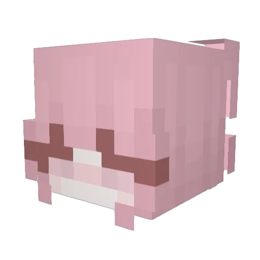 fidiema Minecraft avatar head, 3D render