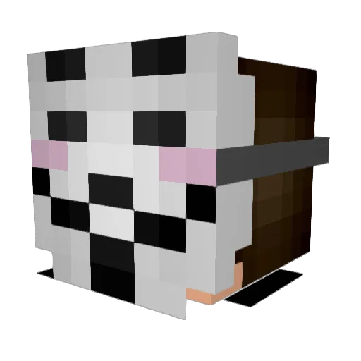 fieldkids7 Minecraft avatar head, 3D render
