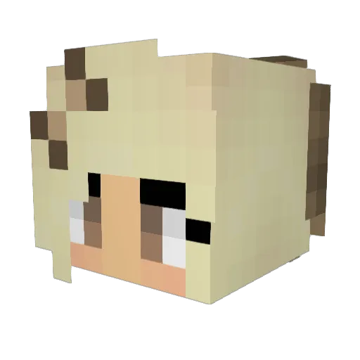 fierceAUS Minecraft avatar head, 3D render