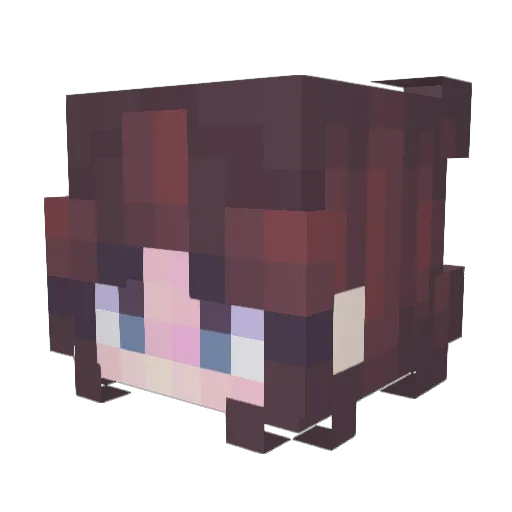 fiercefebreze Minecraft avatar head, 3D render