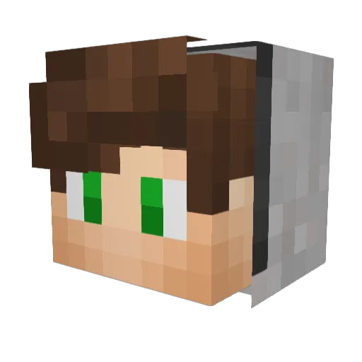fiertee Minecraft avatar head, 3D render