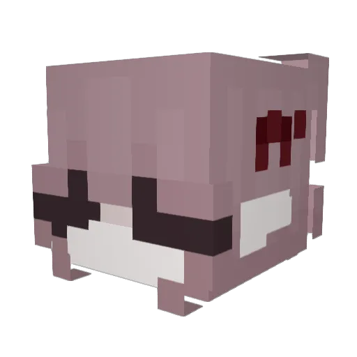 fierybranch38 Minecraft avatar head, 3D render