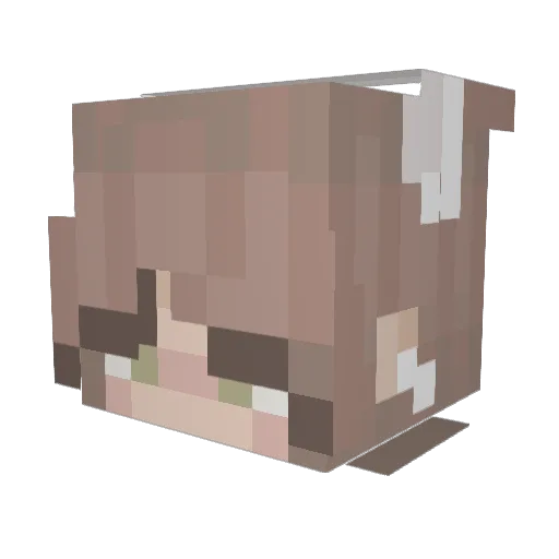 fierydaemon98 Minecraft avatar head, 3D render