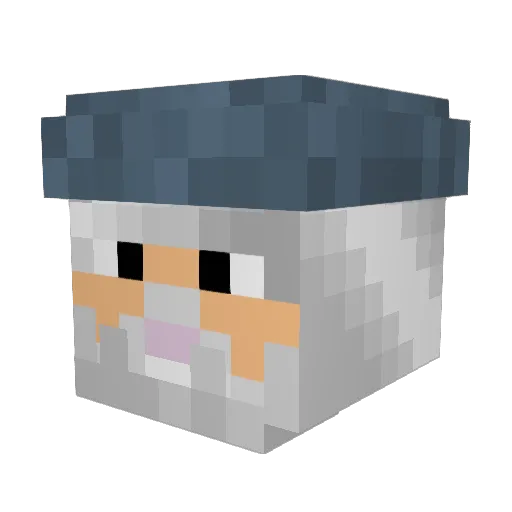 fieryspider Minecraft avatar head, 3D render