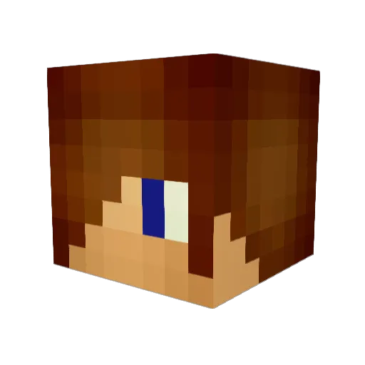 fiffimathea Minecraft avatar head, 3D render
