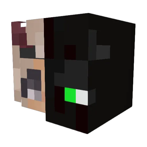 fifi_289 Minecraft avatar head, 3D render