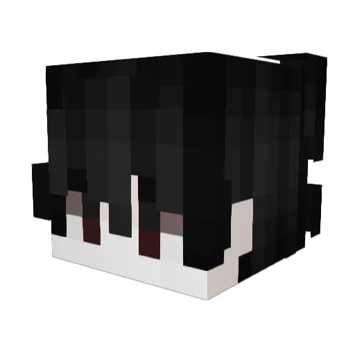 fifichaseudown Minecraft avatar head, 3D render