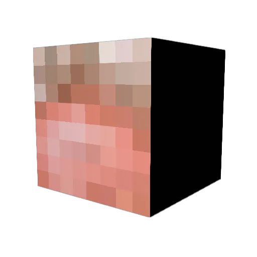 fifii_154 Minecraft avatar head, 3D render