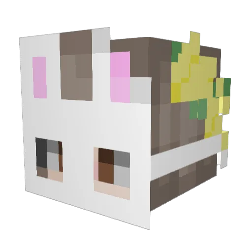 fifiinnit Minecraft avatar head, 3D render
